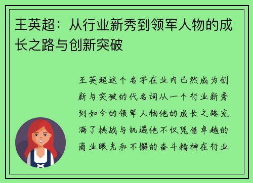 王英超：从行业新秀到领军人物的成长之路与创新突破