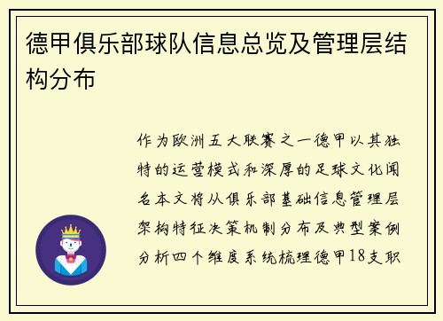 德甲俱乐部球队信息总览及管理层结构分布
